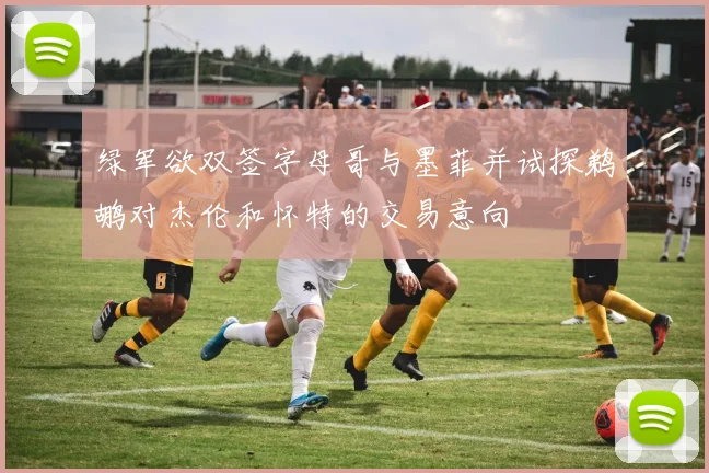 绿军欲双签字母哥与墨菲并试探鹈鹕对杰伦和怀特的交易意向