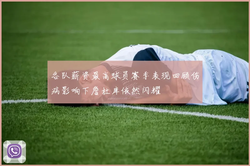各队薪资最高球员赛季表现回顾伤病影响下詹杜库依然闪耀